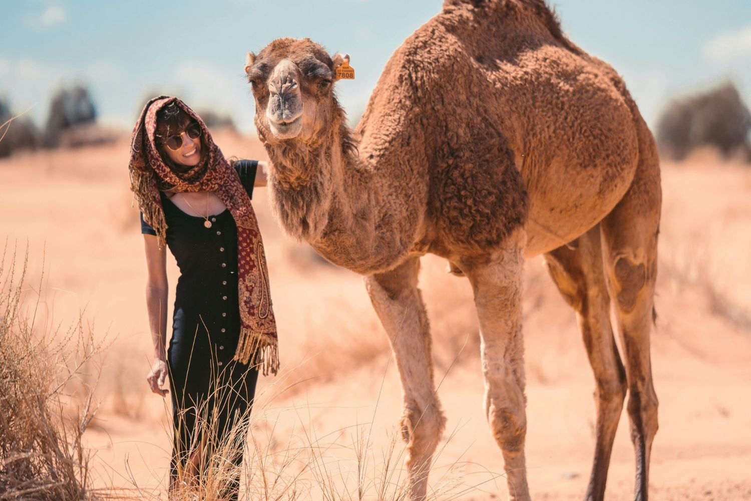 Viaje express de 3 días al desierto