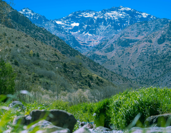 Excursión al Valle de Ourika