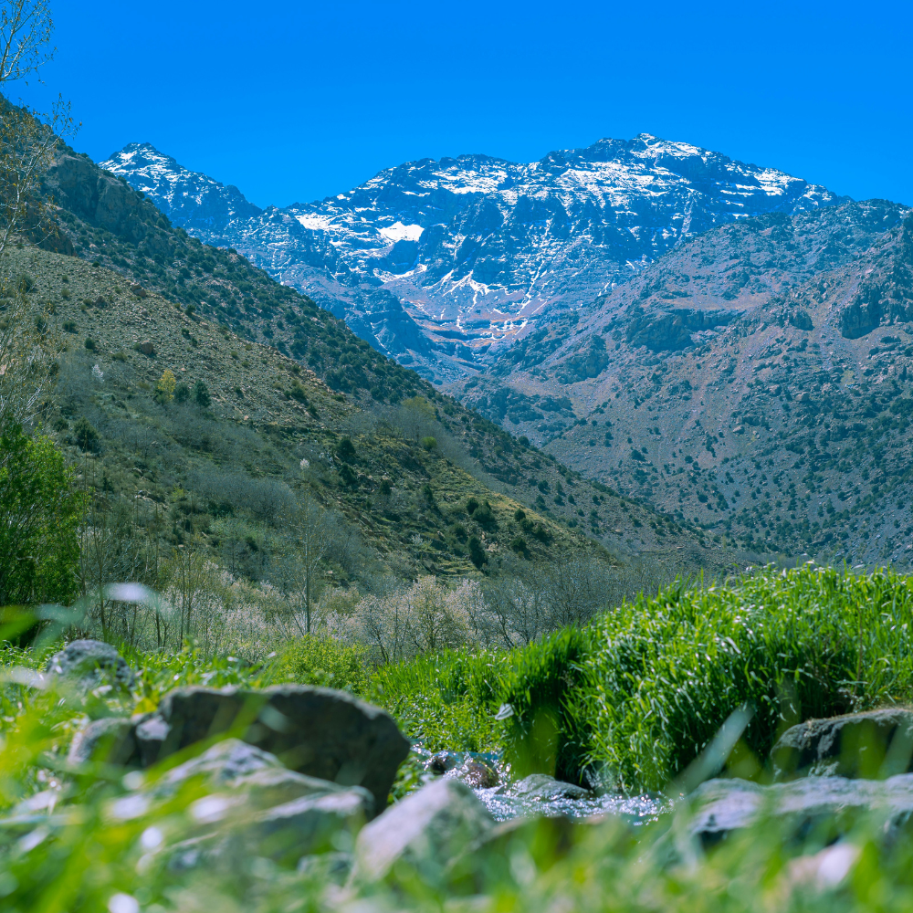 Excursión al Valle de Ourika