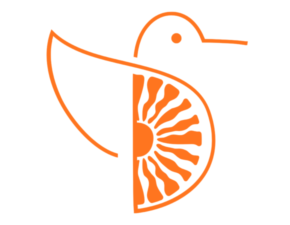 hogo hola travel instagram